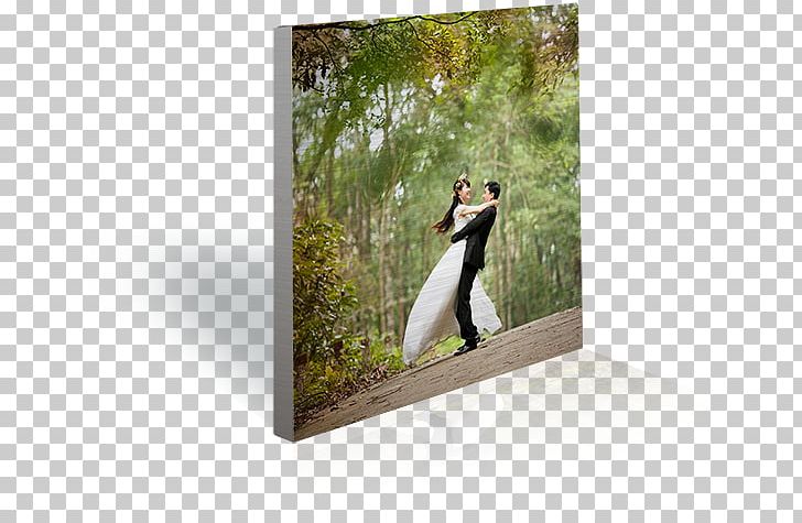 Brushed Metal Aluminium Paper Marriage PNG, Clipart, Aluminium, Brushed Metal, Commonlaw Marriage, Couple, Gallery Wrap Free PNG Download