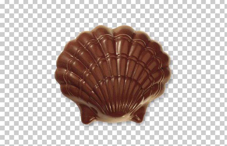 Cockle Conchology Brown PNG, Clipart, Brown, Clams Oysters Mussels And Scallops, Cockle, Conchology, Klein Free PNG Download