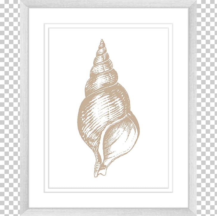 Seashell Art House Wall Drawing PNG, Clipart, Animals, Art, Canvas, Canvas Print, Collection Free PNG Download
