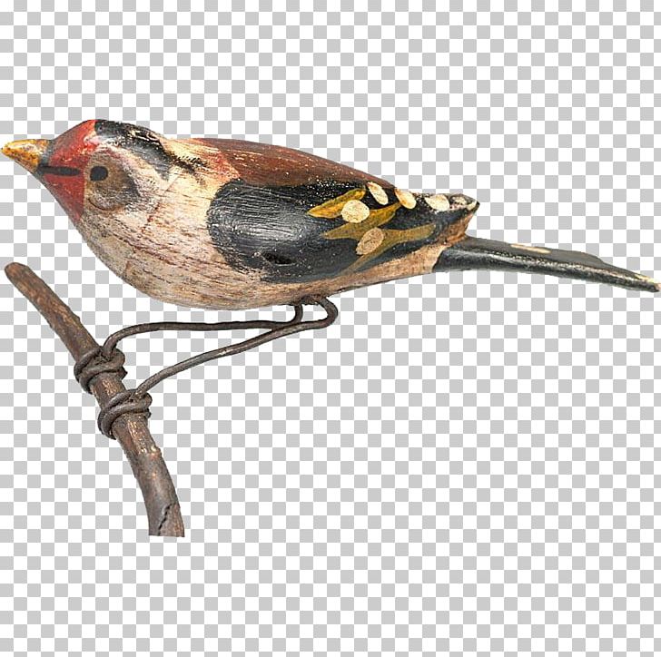 Bird Finch Wren Beak Fauna PNG, Clipart, Animals, Beak, Bird, Fauna, Finch Free PNG Download