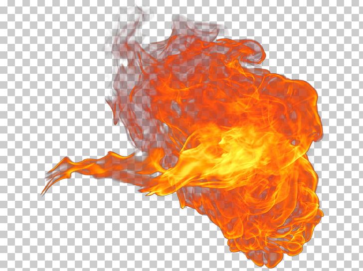 Flame Organism PNG, Clipart, Feuer, Fire, Flame, Nature, Orange Free PNG Download