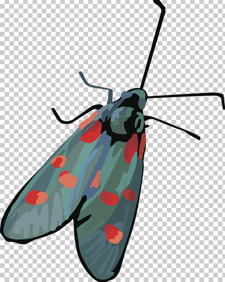 Insect Butterfly Moth PNG, Clipart, Animals, Arthropod, Cartoon Dragonfly, Dragonflies, Dragonfly Insect Vector Free PNG Download