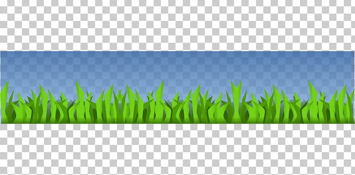 Lawn Meadow Energy Grasses Sky Plc PNG, Clipart, Energy, Family, Grass, Grasses, Grass Family Free PNG Download