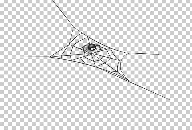 Spider Silk Insect Arthropod Spider Web PNG, Clipart, Angle, Arachne, Arachnid, Area, Arthropod Free PNG Download