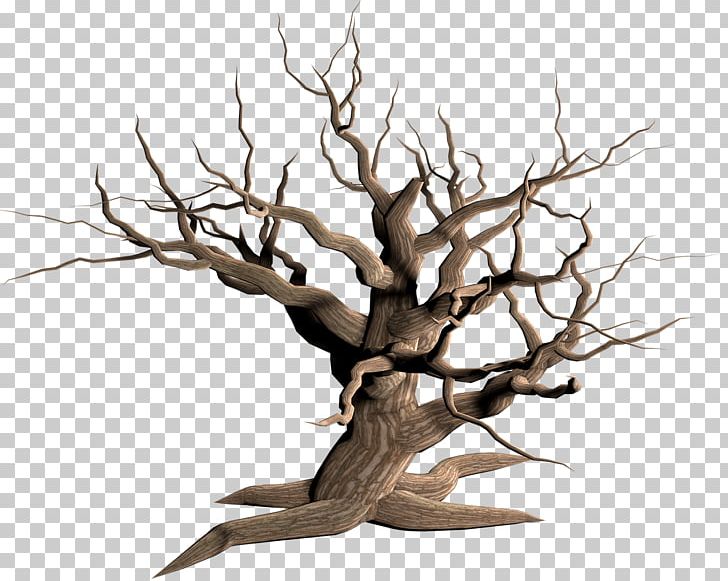 Tree Snag PNG, Clipart, Branch, Conifers, Download, Houseplant, Nature Free PNG Download