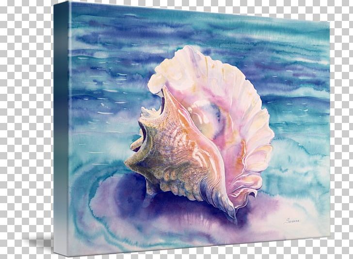 Watercolor Painting Lobatus Gigas Seashell Conch PNG, Clipart, Art, Caribbean Sea, Conch, Conchology, Gastropods Free PNG Download
