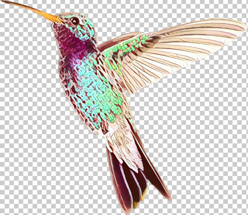Hummingbird PNG, Clipart, Beak, Bird, Coraciiformes, Cuculiformes, Hummingbird Free PNG Download