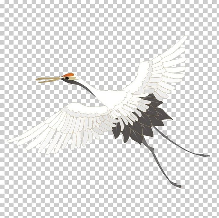 Bird Red-crowned Crane Grey Crowned Crane Black Crowned Crane Stork PNG, Clipart, Animals, Beak, Bird, Black Crowned Crane, Crane Free PNG Download