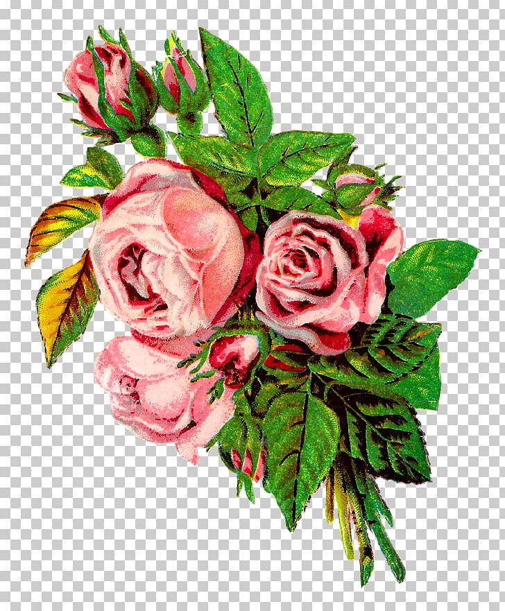 Cut Flowers Garden Roses Floral Design PNG, Clipart, Artificial Flower, Botanical, Centifolia Roses, Clip Art, Cut Flowers Free PNG Download