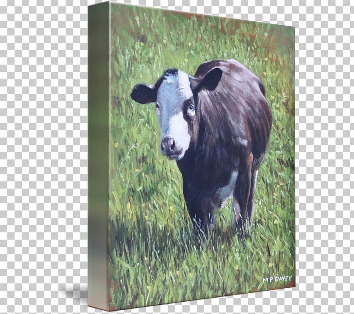 Dairy Cattle Calf Sheep Pasture PNG, Clipart, Calf, Cattle, Cattle Like Mammal, Cow Goat Family, Dairy Free PNG Download