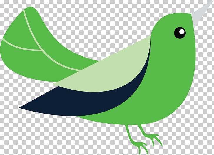 Knowledge Management Knowledge-Centered Support Beak Workflow PNG, Clipart, Analysis, Beak, Bird, Birdy, Cartoon Free PNG Download