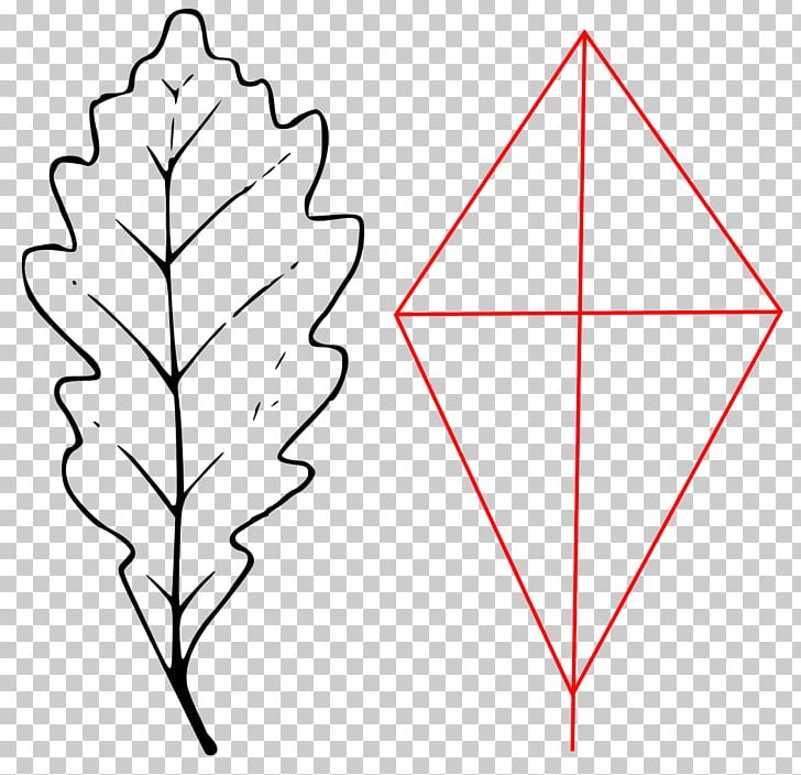 Leaf Angle Sessile Oak Point Line Art PNG, Clipart, Angle, Area, Black And White, Leaf, Line Free PNG Download