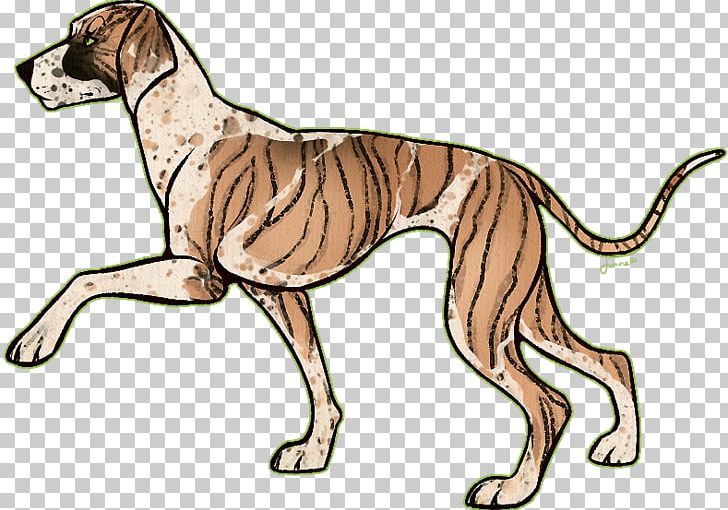 Spanish Greyhound Italian Greyhound Sloughi Whippet PNG, Clipart, 08626, Animal, Animal Figure, Azawakh, Breed Free PNG Download