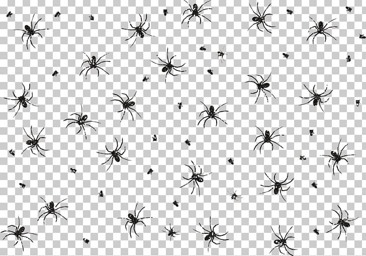 Spider Web PNG, Clipart, Angle, Animal, Cartoon Spider Web, Decoration, Dragon Boat Festival Free PNG Download
