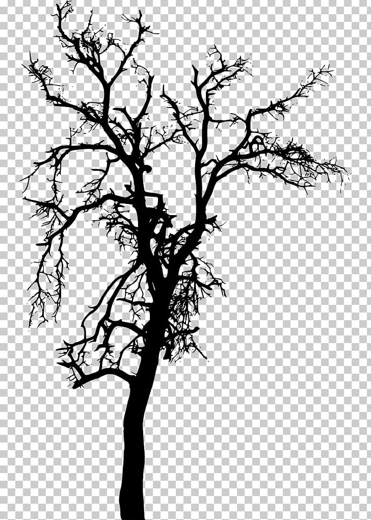 Twig Silhouette Tree PNG, Clipart, African Trees, Animals, Bare, Black And White, Branch Free PNG Download