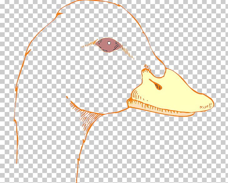 Duck Bird Mallard Drawing PNG, Clipart, Animals, Art, Beak, Bird, Cartoon Free PNG Download