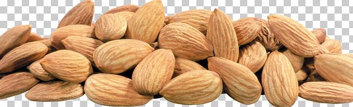 Almond PNG, Clipart, Almond Free PNG Download