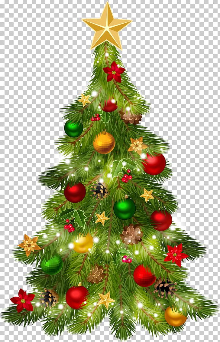 Christmas Tree PNG, Clipart, Christmas, Christmas Decoration, Christmas Ornament, Christmas Tree, Conifer Free PNG Download