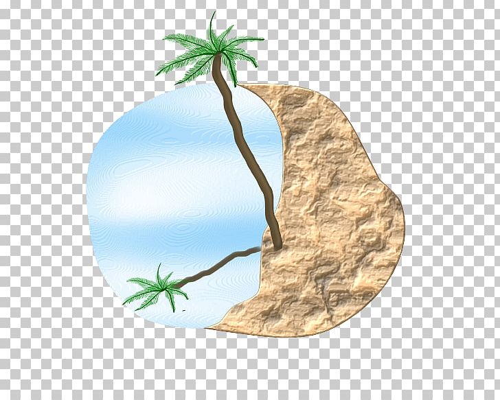 Computer Icons PNG, Clipart, Beach Palm, Computer Icons, Fauna, M083vt, Organism Free PNG Download