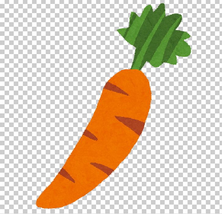 Carrot Food Juice Vegetable Cooking PNG, Clipart, Calorie, Carbohydrate, Carotene, Carrot, Carrot Juice Free PNG Download
