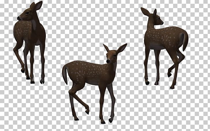 Horse Elk Deer PNG, Clipart, Animal, Animals, Antelope, Cartoon, Deer Free PNG Download