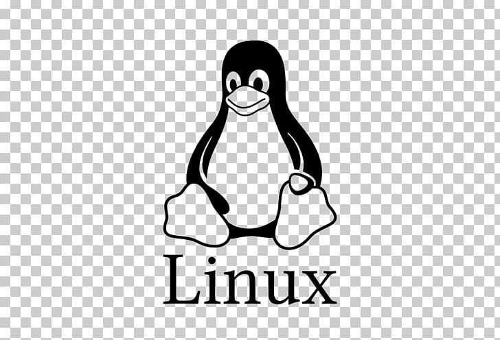 Linux Everything Is A File Computer Software Ubuntu PNG, Clipart, Area, Artwork, Beak, Bird, Black And White Free PNG Download