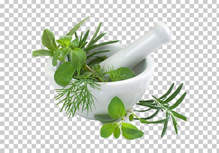 Pharmaceutical Drug Yunani Medicine Ayurveda Herbalism PNG, Clipart, Ayurveda, Dietary Supplement, Disease, Fines Herbes, Flowerpot Free PNG Download