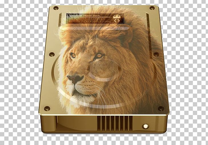 East African Lion Desktop PNG, Clipart, Big Cat, Big Cats, Carnivoran, Cat Like Mammal, Desktop Wallpaper Free PNG Download