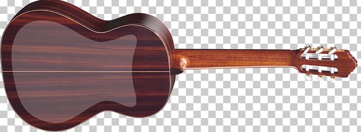 Acoustic-electric Guitar Musical Instruments Plucked String Instrument String Instruments PNG, Clipart, Acoustic Electric Guitar, Amancio Ortega, Classical Guitar, Company, Guitar Accessory Free PNG Download