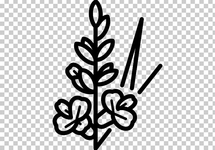 Casa Alberto Gladiolus Computer Icons Flower PNG, Clipart, Black And White, Casa Alberto, Computer Icons, Encapsulated Postscript, Flower Free PNG Download