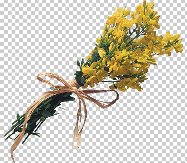 Flower Bouquet Cut Flowers PNG, Clipart, Branch, Common Sunflower, Cut Flowers, Download, Flower Free PNG Download