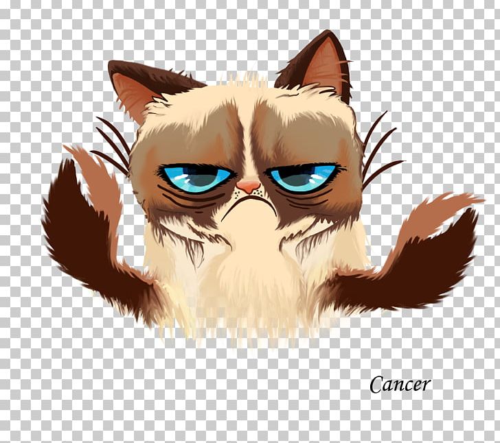Grumpy Cat Kitten Cats And The Internet PNG, Clipart, Animals, Carnivoran, Cartoon, Cat, Cat Face Free PNG Download
