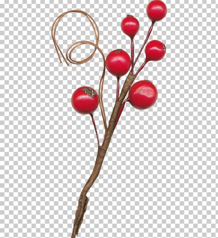 Hairpin Red PNG, Clipart, Adobe Illustrator, Blog, Bob, Branch, Cherry Free PNG Download