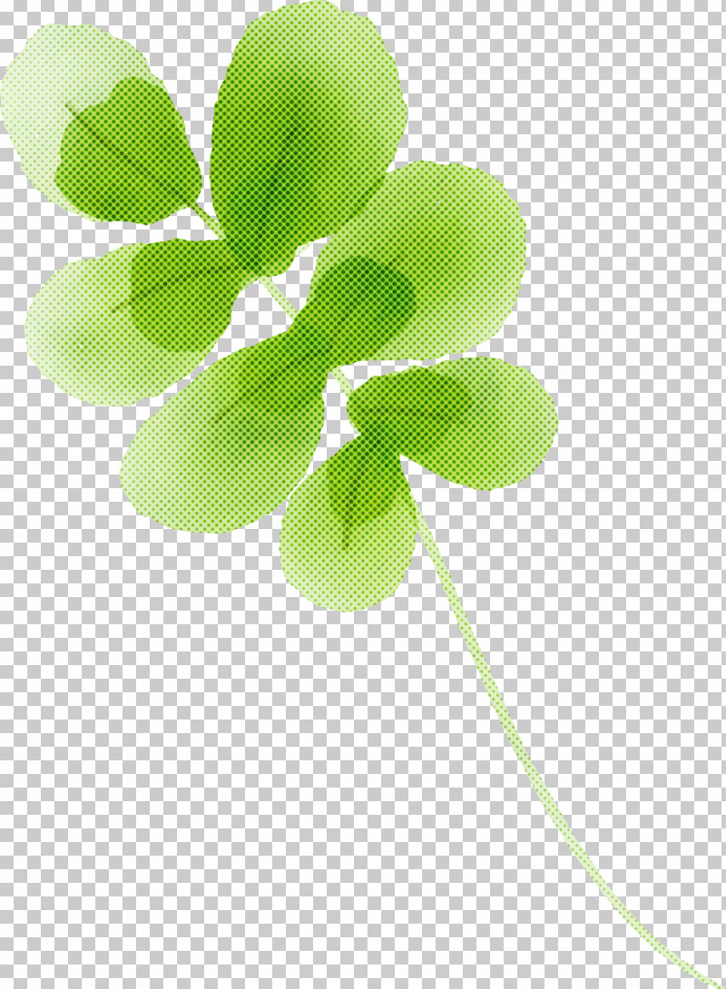 Leaf Green Plant Flower Clover PNG, Clipart, Clover, Flower, Green, Leaf, Petal Free PNG Download