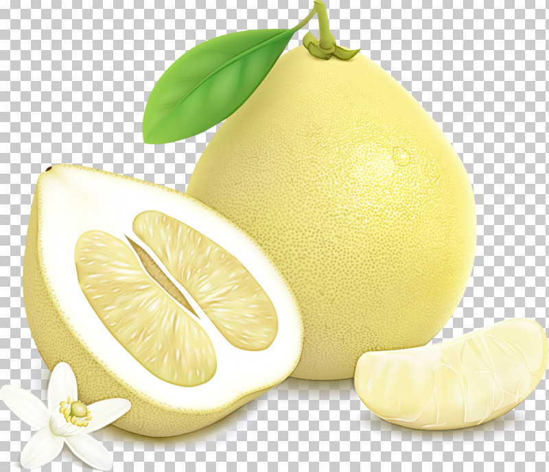 Lemon Persian Lime Lemon Peel Citron Citrus PNG, Clipart, Citric Acid, Citron, Citrus, Food, Fruit Free PNG Download