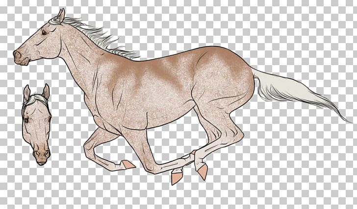 Foal Mustang Colt Stallion /m/02csf PNG, Clipart, Discipline, Drawing, Fauna, Fictional Character, Foal Free PNG Download