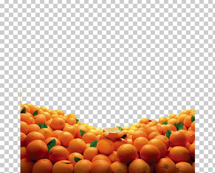 Juice Clementine Mandarin Orange Fruit PNG, Clipart, Advertising, Citrus, Citrus, Clementine, Computer Wallpaper Free PNG Download