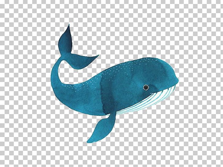 Sperm Whale Cetacea Blue Whale Watercolor Painting PNG, Clipart, Aqua, Art, Baleen Whale, Blue Whale, Cetacea Free PNG Download