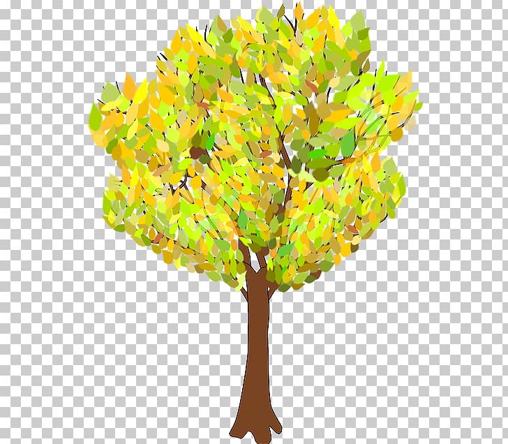 Tree Autumn Branch PNG, Clipart, Arecaceae, Autumn, Autumn Leaf Color, Branch, Drawing Free PNG Download