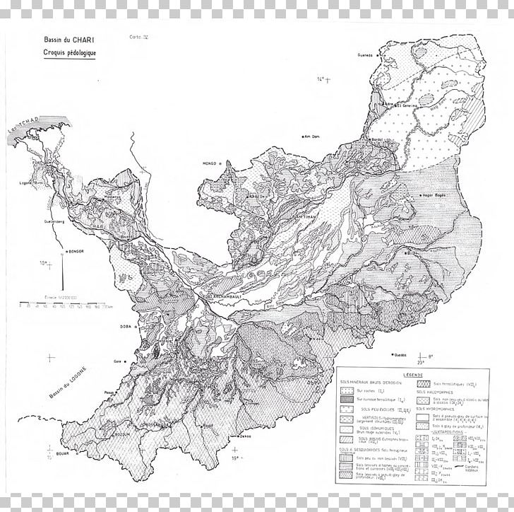 Tree Line Point Map White PNG, Clipart, Area, Artwork, Black And White, Ird, Line Free PNG Download