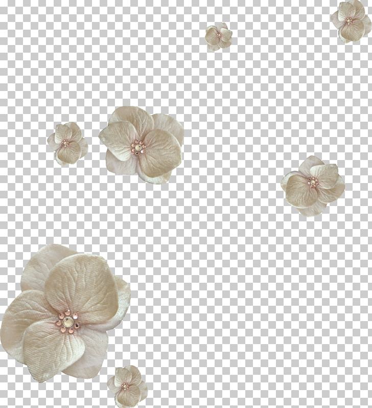 Flower Petal PNG, Clipart, Body Jewelry, Cicek, Cicekler, Computer Icons, Download Free PNG Download