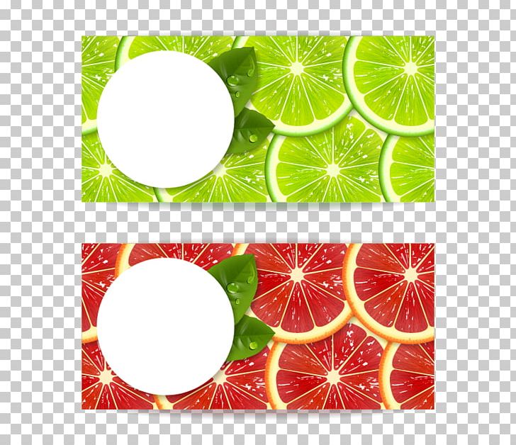 Lemon Mandarin Orange Illustration PNG, Clipart, Apple Fruit, Auglis, Circle, Citrus, Download Free PNG Download