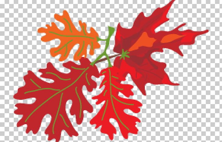 Maple Leaf Oktoberfest PNG, Clipart, Branch, Branching, Flowering Plant, Leaf, Maple Free PNG Download