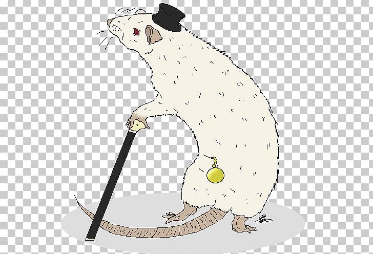 Rat Mouse Whiskers Beaver Hare PNG, Clipart, Animals, Beaver, Canidae, Carnivoran, Cat Free PNG Download