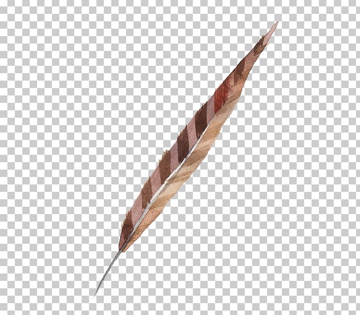Watercolour Flowers Watercolor Painting Feather PNG, Clipart, Animals, Autumn, Brown, Cartoon, Decorate Free PNG Download