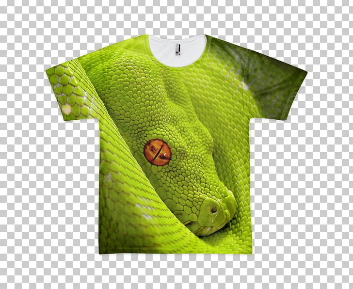 Corn Snake Reptile Green Tree Python Smooth Green Snake PNG, Clipart, Animals, Color, Corn Snake, Desktop Wallpaper, Eye Free PNG Download