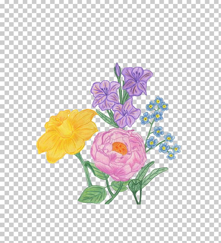Floral Design Cut Flowers Rose Family PNG, Clipart, Artwork, Color Pencil, Colour, Cut Flowers, Floral Design Free PNG Download