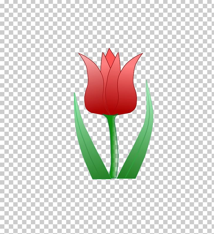 Flower Computer Icons Tulip PNG, Clipart, Bing, Computer Icons, Computer Wallpaper, Desktop Wallpaper, Drawing Free PNG Download