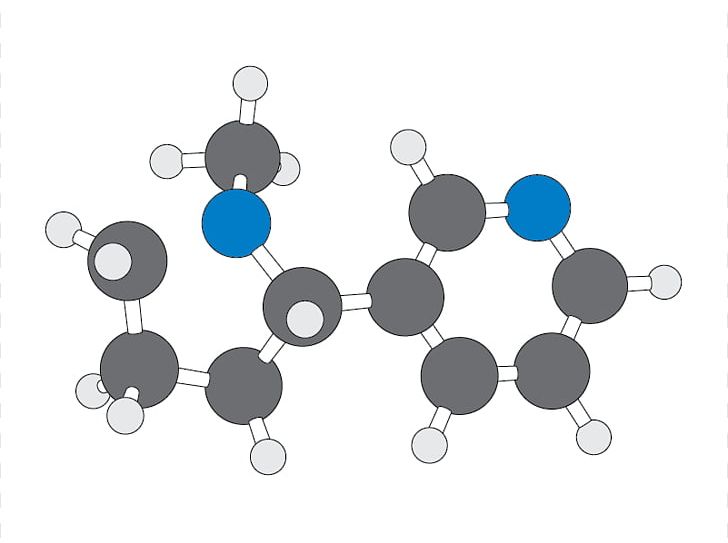 Ball-and-stick Model Molecule Nicotine Space-filling Model Caffeine PNG, Clipart, Addiction, Alkaloid, Atom, Ballandstick Model, Blue Free PNG Download