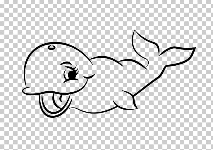 Black And White Killer Whale Beluga Whale PNG, Clipart, Animals, Bird, Black, Carnivoran, Cartoon Free PNG Download